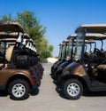 Golf cart on a golf closure. Golf carts and palm tree on blue Royalty Free Stock Photo