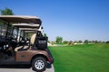 Golf cart on a golf closure. Golf carts and palm tree on blue Royalty Free Stock Photo