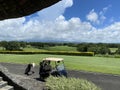 Golf cart of golf course with green grass field with blue sky Royalty Free Stock Photo