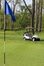 Golf cart and hole pin on the course