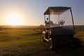 Golf cart over nice green Royalty Free Stock Photo