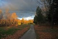 Golf Cart Path in Autumn Royalty Free Stock Photo