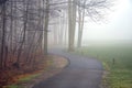 Golf Cart Path in Fog Royalty Free Stock Photo