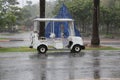 Golf cart with raining