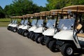 Golf Carts Parked