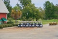 Golf carts parked in rows near the clubhouse waiting for golfers Royalty Free Stock Photo