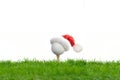 Golf and Christmas Royalty Free Stock Photo