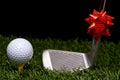 Golf and Christmas Royalty Free Stock Photo