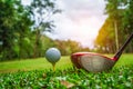 Golf club and golf ball close up in grass field with sunset. Golf ball close up in golf coures at Thailand Royalty Free Stock Photo