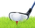 Golf club and ball on grass
