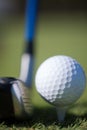 Golf club and ball in grass Royalty Free Stock Photo