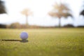 Golf club and ball in grass at the Golf course. White Golf ball on Green field golf course in morning time with sun light Royalty Free Stock Photo