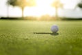 Golf club and ball in grass at the Golf course. White Golf ball on Green field golf course in morning time with sun light Royalty Free Stock Photo