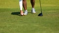 Golf club and ball in grass at the Golf course. White Golf ball on Green field golf course in morning time with sun light Royalty Free Stock Photo