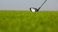 Golf club and ball in grass at the Golf course. White Golf ball on Green field golf course in morning time with sun light Royalty Free Stock Photo