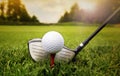 Golf club and ball in grass Royalty Free Stock Photo