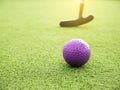 Golf club and ball in grass and sunset Royalty Free Stock Photo