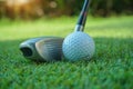 Golf club and ball in green grass Royalty Free Stock Photo