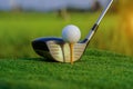 Golf club and ball on green grass ready to be struck on golf course background Royalty Free Stock Photo