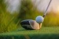 Golf club and ball on green grass ready to be struck on golf course background Royalty Free Stock Photo