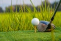 Golf club and ball on green grass ready to be struck on golf course background Royalty Free Stock Photo