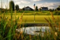 golf club and ball on the green, hole in focus