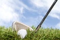 Golf club and ball in the rough Royalty Free Stock Photo