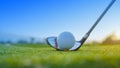 Golf clubs and golf balls on a green lawn in a beautiful golf course with morning sunshine Royalty Free Stock Photo