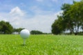 Golf concept : Golf ball on golf course, an golf ballset up for Royalty Free Stock Photo