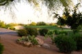 Golf course in the Arizona desert Royalty Free Stock Photo