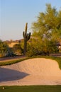 Golf course in the Arizona desert Royalty Free Stock Photo