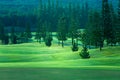 Golf course beautiful turf and putting green, Golf course in Thailand Royalty Free Stock Photo