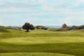 Golf course in Belek. Green grass on a field. Blue sky, sunny da