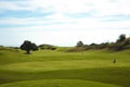 Golf course in Belek. Green grass on the field. Blue sky, sunny Royalty Free Stock Photo