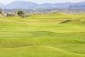 Golf course in Belek. Green grass on a field. Blue sky, sunny da