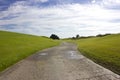 Golf course in Belek. Green grass on the field. Long road