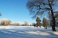 Golf course at Bellshill, Lanarkshire in winter