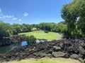 Golf course with bright green grass, tall trees and canoes Royalty Free Stock Photo