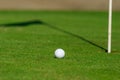 Golf course detail Royalty Free Stock Photo