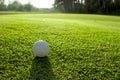 Golf course detail Royalty Free Stock Photo