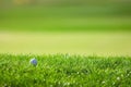 Golf course detail Royalty Free Stock Photo