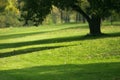Golf course detail Royalty Free Stock Photo