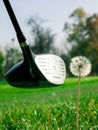 Golf course detail Royalty Free Stock Photo
