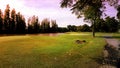 Golf course in evening Royalty Free Stock Photo