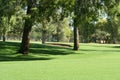 Golf course fairway Royalty Free Stock Photo