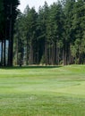 Golf Course Fairway Royalty Free Stock Photo