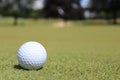 Golf ball at golfing course in Michigan