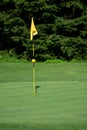 Golf Course, golf green with flag in the hole Royalty Free Stock Photo