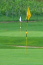 Golf Course, golf green with flag in the hole Royalty Free Stock Photo