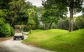 Golf course and golfcart Royalty Free Stock Photo